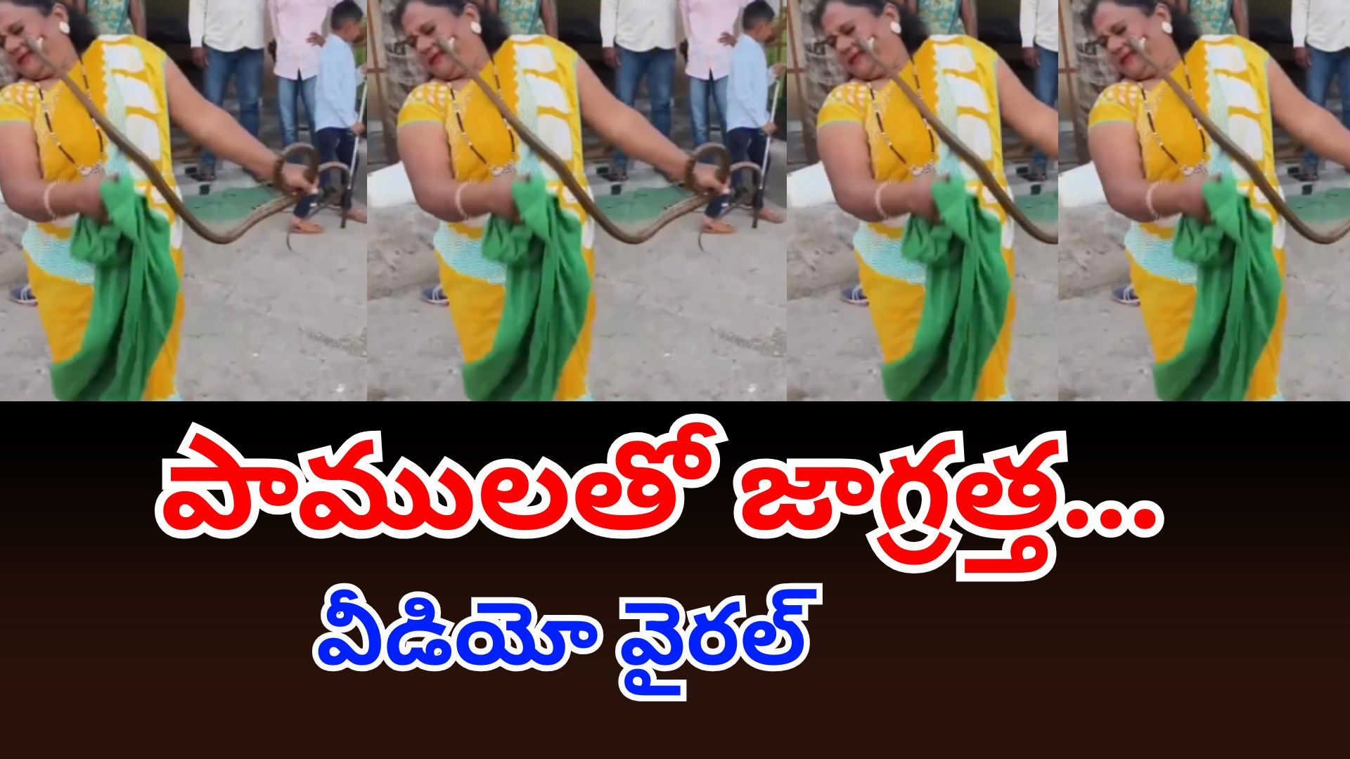 Woman Bitten by Snake While Catching It