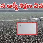 Prayagraj Army Training Plane Crash