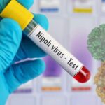 Nipah Virus WHO statement