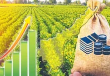 దేశవ్యాప్తంగా ఆందోళన కలిగిస్తున్న రైతుల రుణభారం.. ఏపీకి రెండో స్థానం