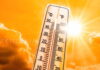 AP Heatwave Alert | ఏపీలో మండిపోనున్న ఎండలు.. రైతులకు ఐఎండీ కీలక సూచనలు andhra pradesh heatwave alert in april with rising temperatures, humidity and imd weather warning for farmers