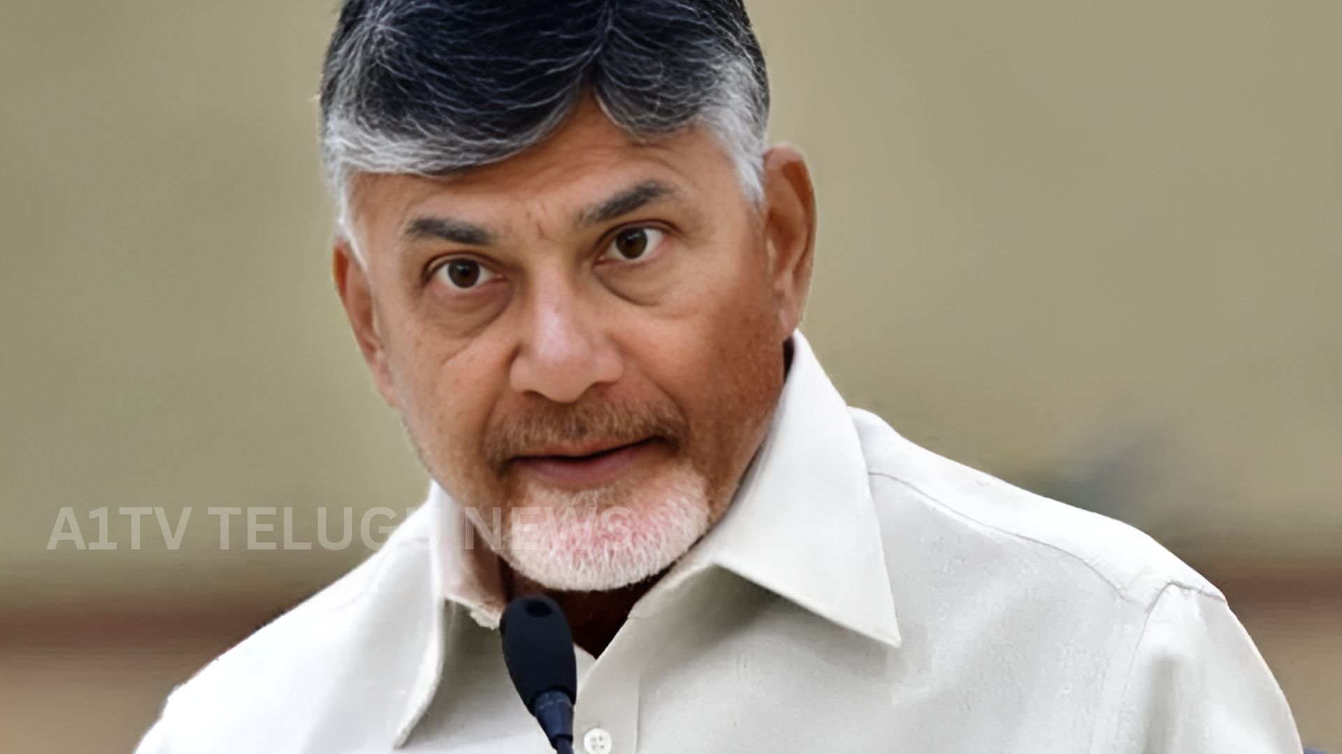 chandrababu naidu addressing press meet in tamil nadu during nda campaign