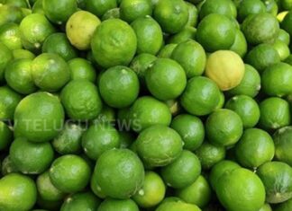 record lemon prices in podalakur market nellore with 80 kg bag touching rs 10000
