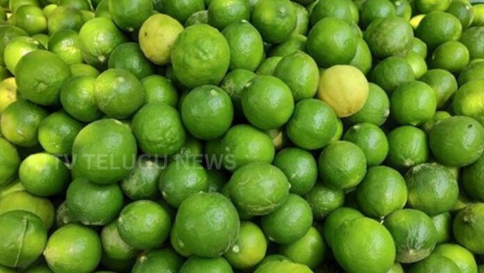 record lemon prices in podalakur market nellore with 80 kg bag touching rs 10000