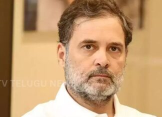 rahul gandhi congress senior leaders disagreement bjp reaction