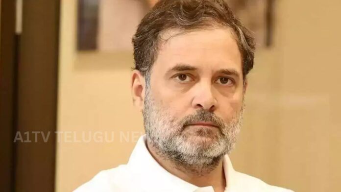 rahul gandhi congress senior leaders disagreement bjp reaction