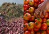 Onion Prices | ఉల్లి, టమాటా ధరలు పతనం.. తెలుగు రాష్ట్రాల రైతులపై తీవ్ర ప్రభావం farmers face heavy losses as onion prices fall sharply in telugu states markets