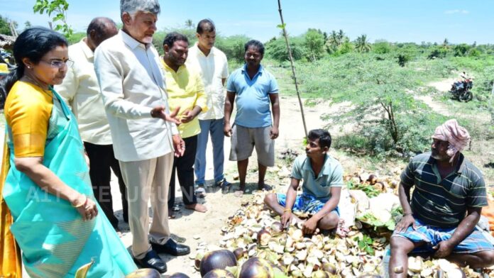 Andhra Pradesh CM Chandrababu Naidu and Bhuvaneswari interacting with a roadside palm fruit seller in Kuppam