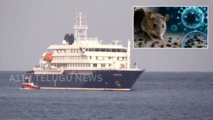Health officials monitoring passengers aboard MV Hondius amid hantavirus outbreak investigation