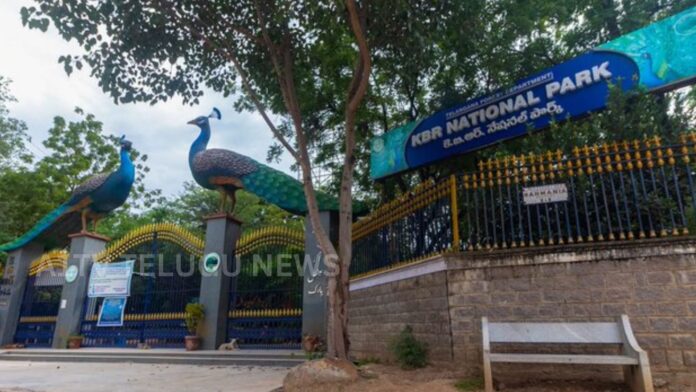 KBR National Park in Hyderabad with Supreme Court order halting nearby construction and tree cutting