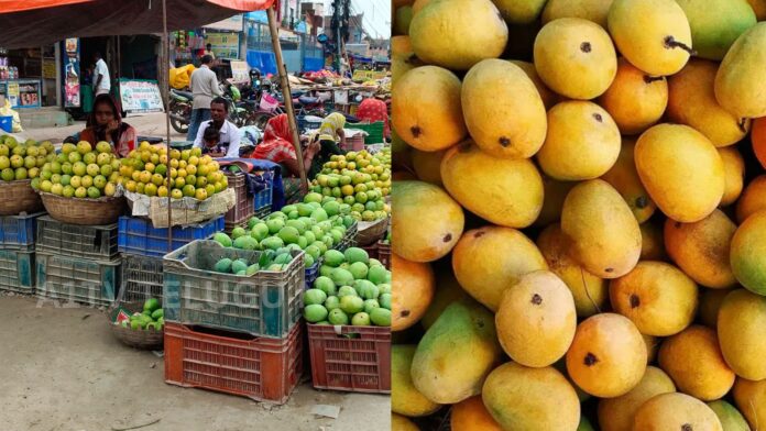 india mango exports to nepal continue without any import ban
