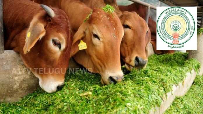 livestock department report on animal insurance and dairy development schemes in andhra pradesh