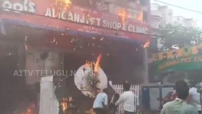 massive fire accident in lucknow building leaves several dead and injured