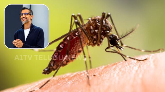 Lab-grown mosquitoes used in Google Debug project for mosquito population control experiment
