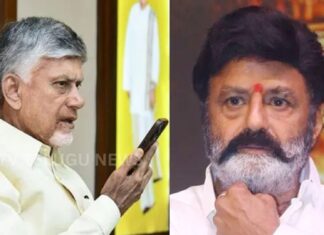 CM Chandrababu Naidu