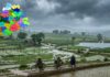heavy rain forecast for telangana due to bay of bengal low pressure system