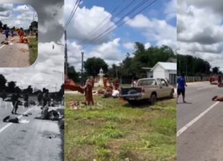 pickup truck crashes into buddhist monks during pilgrimage in thailand