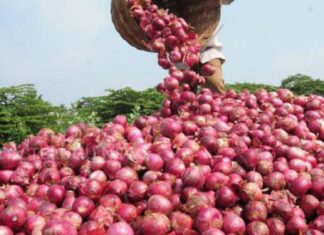 central government increases onion procurement price for farmers buffer stock scheme