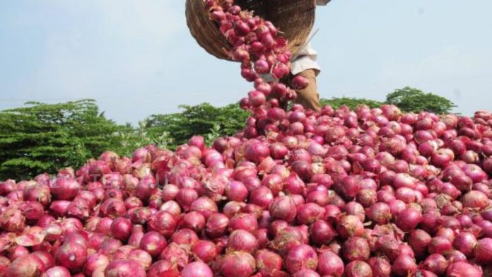 central government increases onion procurement price for farmers buffer stock scheme