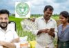 telangana rythu bharosa funds credited to farmers bank accounts under dbt scheme