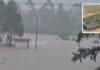 China Floods | టైఫూన్ బీభత్సం.. పాముల ఫామ్ ధ్వంసం, వందల సంఖ్యలో పాములు పరార్ hundreds of snakes escape into villages after floods in china