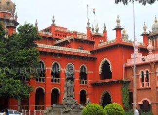 madras high court approves government jobs for karur stampede victims families