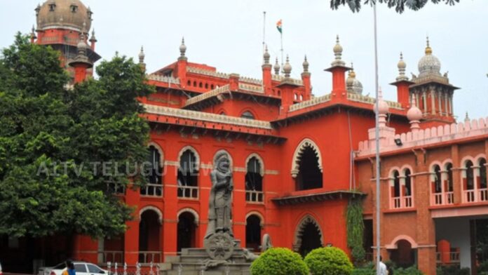 madras high court approves government jobs for karur stampede victims families