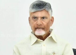 andhra pradesh cabinet approves major decisions under chief minister chandrababu naidu