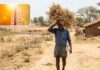 telangana records high temperatures as heatwave conditions continue across the state