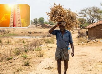 Telangana Weather | వర్షాల జాడే లేదు.. తెలంగాణలో ఎండల దెబ్బ, మరో రెండు రోజులు హీట్ టెన్షన్! telangana records high temperatures as heatwave conditions continue across the state