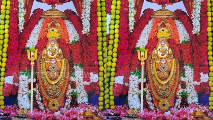 sircilla handloom artisan presents matchbox silk saree to bhramaramba temple