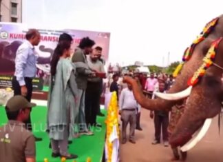 Pawan Kalyan welcoming Kumki elephants in Mangalagiri
