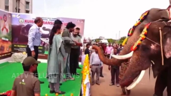 Pawan Kalyan welcoming Kumki elephants in Mangalagiri