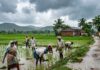 Telangana weather | తెలంగాణకు వర్ష సూచన.. ఏ జిల్లాల్లో ఎక్కువ ప్రభావమంటే? Telangana weather