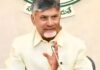 CM Chandrababu Naidu