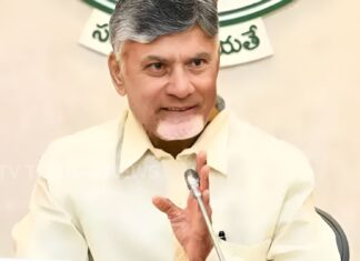CM Chandrababu Naidu