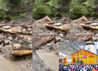 Pilgrims waiting during the temporary suspension of Chardham Yatra in Uttarakhand