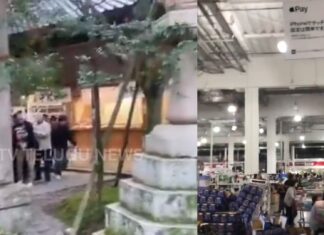 Japan Earthquake