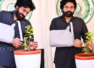 Newly discovered Croton Ubbalamadugensis plant species in the Eastern Ghats