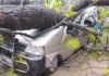 Huge Tree Falls on Mini Van in Siricilla, One Injured Due to Heavy Rains