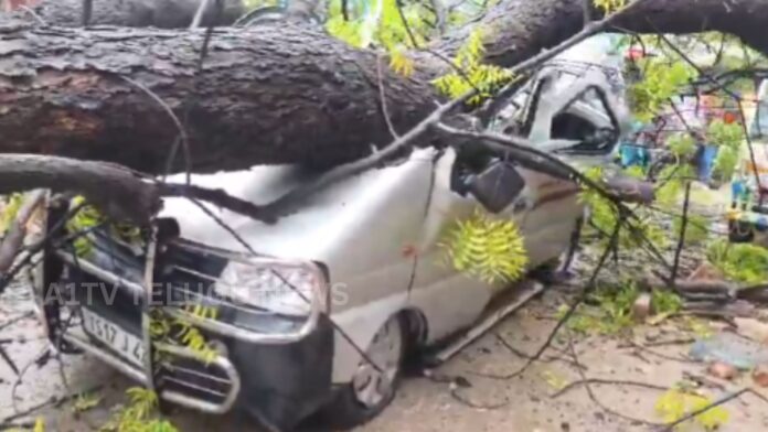 Huge Tree Falls on Mini Van in Siricilla, One Injured Due to Heavy Rains