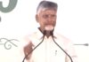 CM Chandrababu | ‘తప్పు చేస్తే ఎవరినీ వదలను’.. గుడివాడలో సీఎం చంద్రబాబు స్ట్రాంగ్ వార్నింగ్ CM Chandrababu Naidu addressing the Swarnandhra Swachhandhra programme in Gudivada