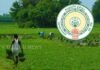 PMFBY Kharif 2026 | రైతులకు గుడ్న్యూస్.. పంటల బీమా గడువు పొడిగింపు PMFBY Kharif 2026 Crop Insurance Registration Deadline Extended Till August 15