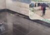 5-Foot Snake Found Inside School Classroom in Markapuram, Safely Rescued
